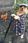 animalsdoingpeoplethings8.png.webp