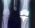 1696435223578.webp