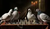 pigeon.webp