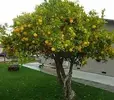 1699197840358.webp