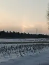 1701607484616.webp