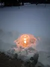 1701612662757.webp