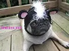 images.webp