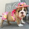 3c0d33095615c459b419d7dd481ccfff.webp