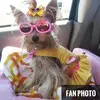 images.webp