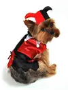 red-black-jester-costume-for-dogs.webp
