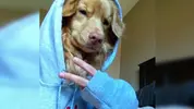 15-animal-selfies-we-could-take-some-tips-from-1.webp