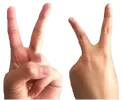 The_v_finger_signs.webp