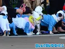 Smurfette_Dog_Costume.webp