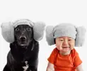 tumblr_n3iswr2HoP1tw6rhwo1_r1_1280.webp