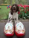 449798_1178364088.webp