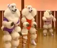 poodleworkout-300x258.webp