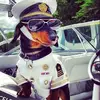 tumblr_mqao9tqIbY1s4lxj4o1_1280.webp
