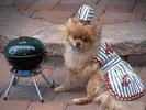 summer-barbecue-feat-image.webp