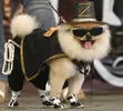 180060-a-pomeranian-dressed-as-zorro-the-spanish-masked-swordsman-in-the-movi.webp