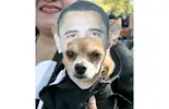 barack-dogbama_1015824i.webp