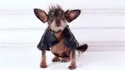 upload_2016-6-9_14-19-32.webp