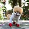 boo1.webp