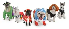 Avenger-Dogs_Black-Widow_3-300x200.webp