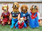 super-labs-photo-u1.webp