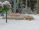 1703422372647.webp
