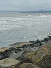 20231225_112600.webp