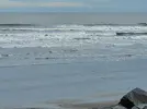 20231225_113628.webp