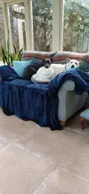 1000009595.webp
