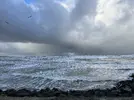 1705403817491.webp