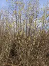 IMG_2192-compressed.webp