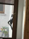 1707318538556.webp 1707318538556.webp