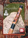 the-didgeridoo.webp