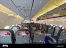 1709452742937.webp 1709452742937.webp