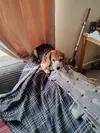 1710503662736.webp 1710503662736.webp