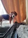 1710503699127.webp 1710503699127.webp