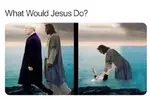 FB_IMG_1710507816691.webp