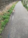 1710583801474.webp 1710583801474.webp