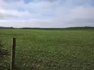 1710583846492.webp 1710583846492.webp
