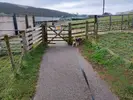 1710583881718.webp 1710583881718.webp