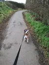 1710583947999.webp 1710583947999.webp