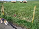 1710584077096.webp