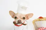 o-CUTE-PETS-facebook.webp