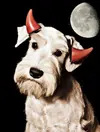 demon-dog-shutterstock_219671770.webp