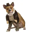indydog.webp