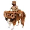 halloweenSW4b.webp
