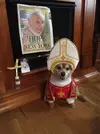 pope ny dog.webp