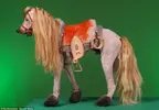creative-grooming-dog-31.webp