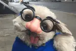 primary_glasses.webp