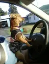 upload_2016-6-16_16-59-11.webp