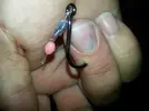 image.webp